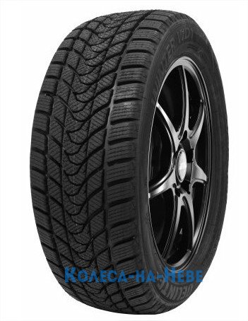 Delinte Winter WD1 225/45 R17 94T  