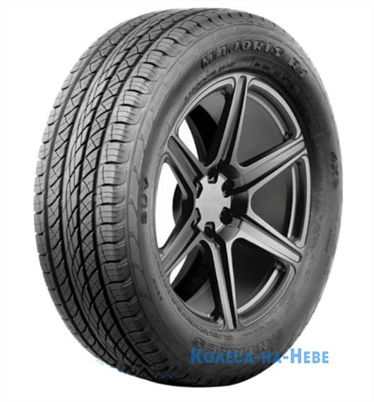 Antares Majoris R1 285/45 R22 114V XL 